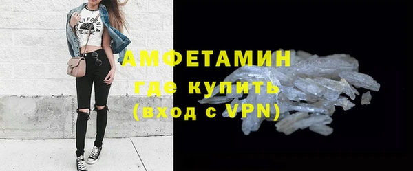 прущие грибы Магас