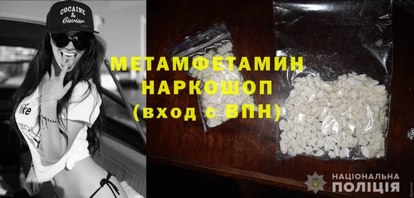 прущие грибы Магас
