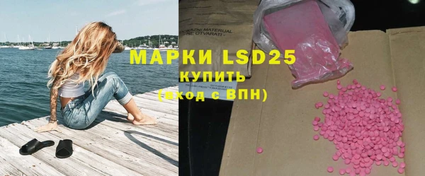 прущие грибы Магас