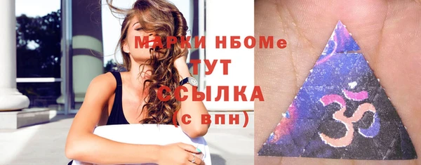 прущие грибы Магас