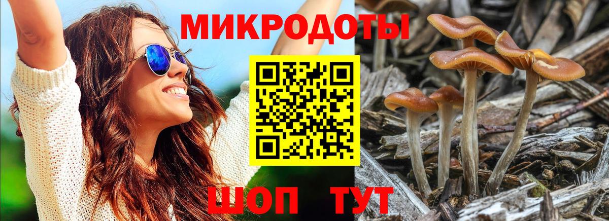 Галлюциногенные грибы GOLDEN TEACHER  Галлюциногенные грибы ЛСД  Вход с VPN  Кызыл 