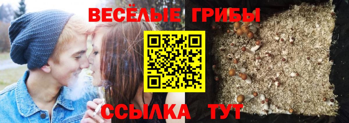 Галлюциногенные грибы Magic Shrooms Кызыл