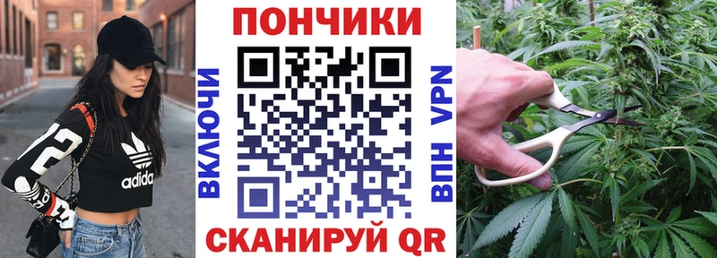 где можно купить   Кызыл  Бошки марихуана Amnesia 